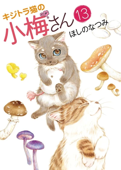 Cover of Vol. 13