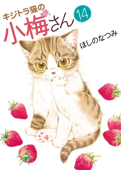 Cover of Vol. 14