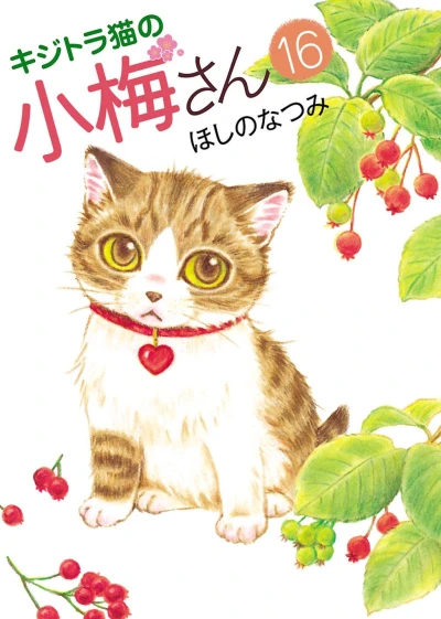 Cover of Vol. 16