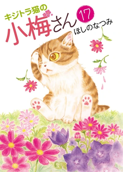 Cover of Vol. 17