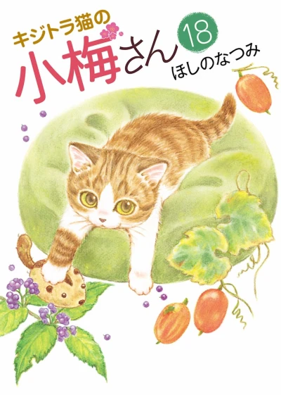 Cover of Vol. 18