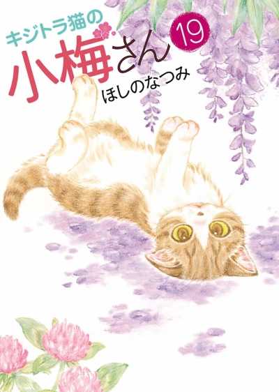 Cover of Vol. 19