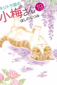 Vol. 19