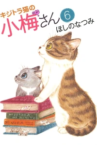 Vol. 6