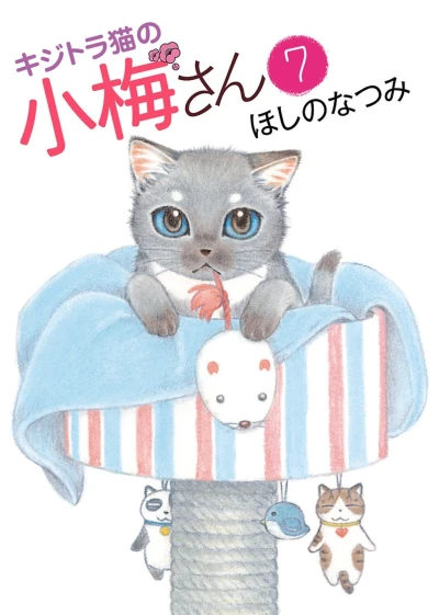 Cover of Vol. 7