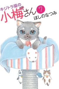Vol. 7