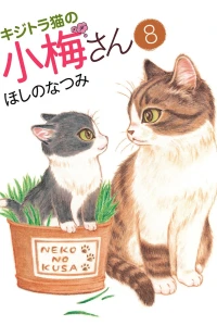 Vol. 8