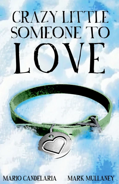 Cover of Crazy Little Someone to Love