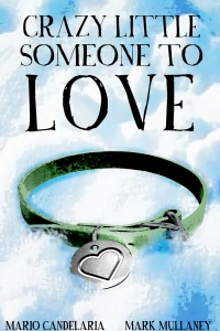 Crazy Little Someone to Love