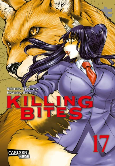 Cover of Issue #17
