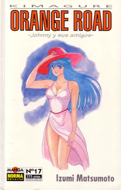Cover of Issue #17