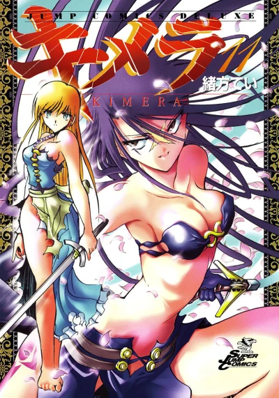 Cover of Vol. 11