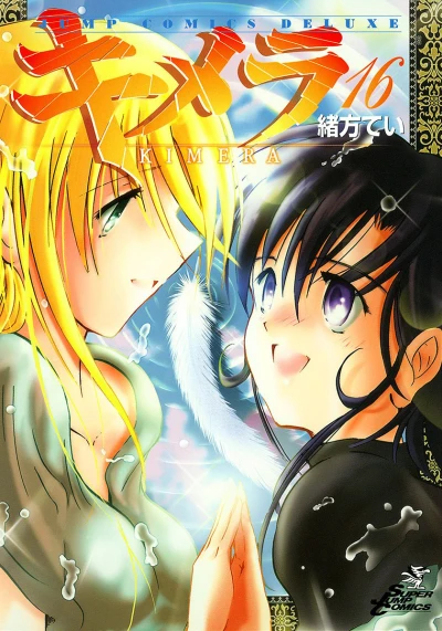 Cover of Vol. 16