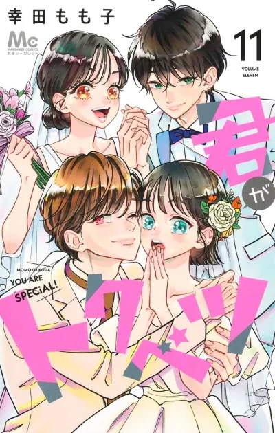 Cover of Volume Eleven