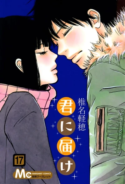 Cover of Vol. 17