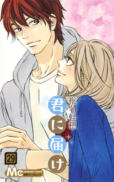 Cover of Vol. 29