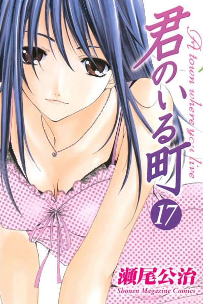 Cover of Volume 17
