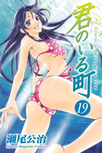 Cover of Volume 19