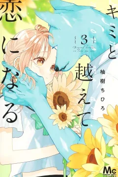 Vol. 3