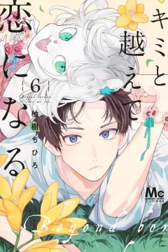 Vol. 6