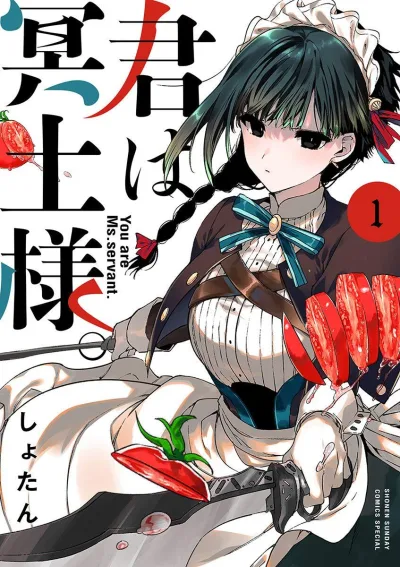 Cover of Vol. 1