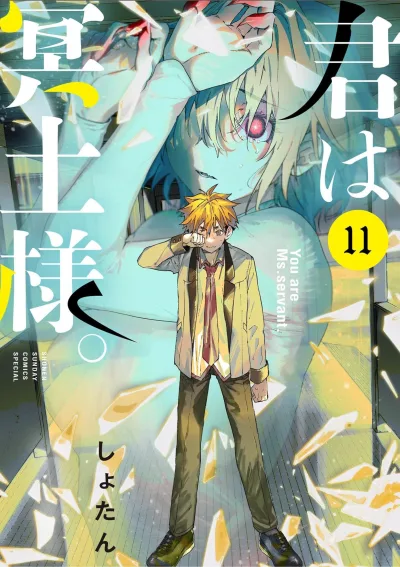 Cover of Vol. 11