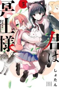 Vol. 5