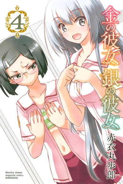 Cover of Vol. 4