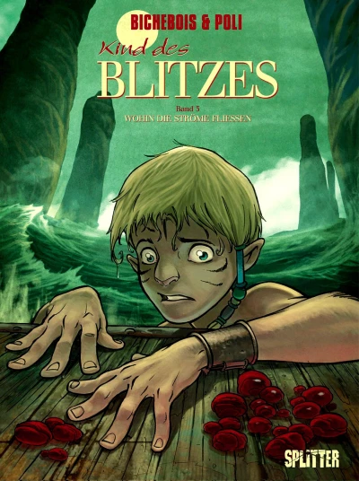 Cover of Wohin die Ströme fliessen