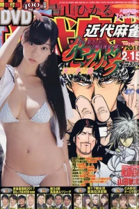 Issue #928