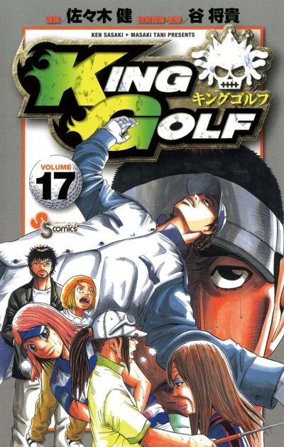 Cover of Volume 17