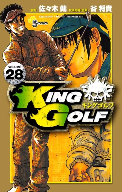 Cover of Volume 28