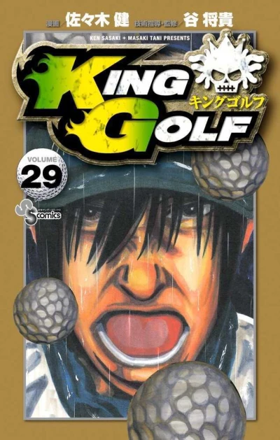 Cover of Volume 29