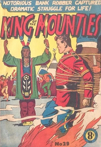 Cover of Issue #29