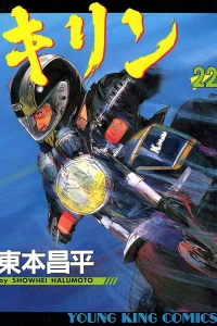 Vol. 22