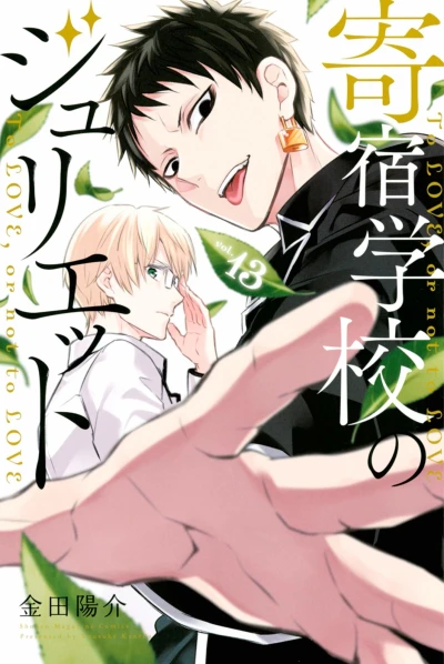 Cover of Vol. 13