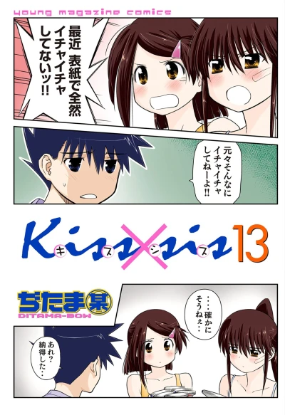 Cover of Vol. 13