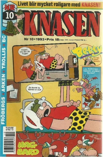Cover of Issue #199310
