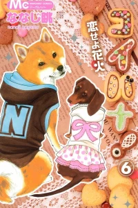 Vol. 6