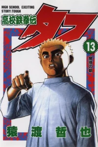 Volume 13