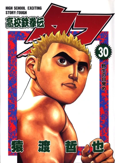 Cover of Volume 30
