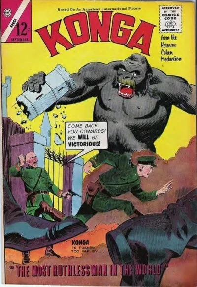 Cover of Issue #19