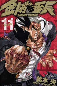 Volume 11