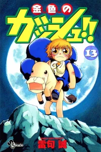Volume 13