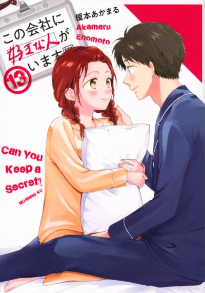 Cover of Vol. 13