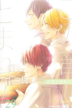 Vol. 29