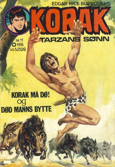 Cover of Issue #197611