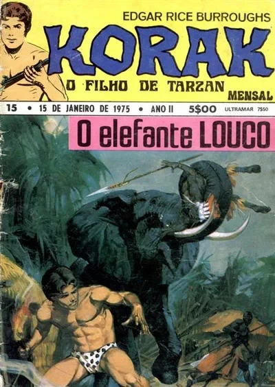 Cover of O elefante louco
