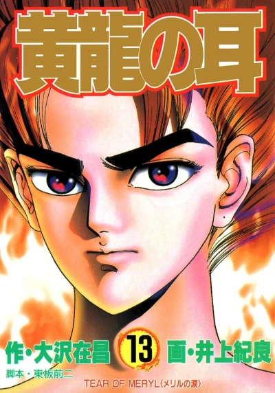 Cover of Vol. 13