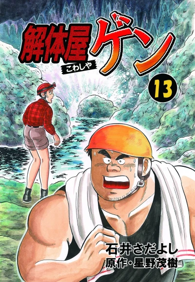 Cover of Vol. 13